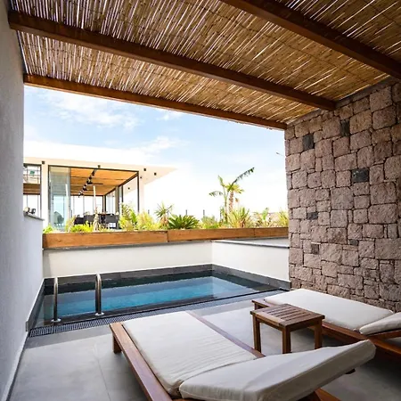 Leone Cunda Edition * Ayvalı